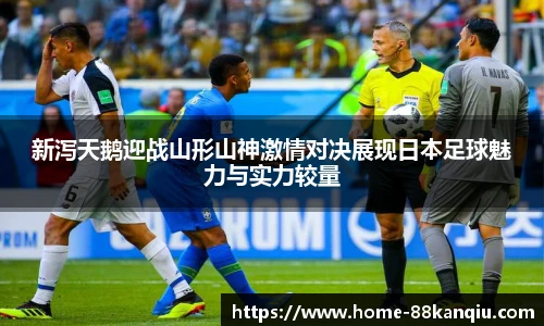 88看球体育直播