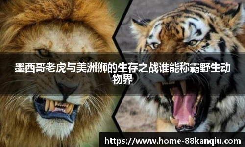 88看球体育直播